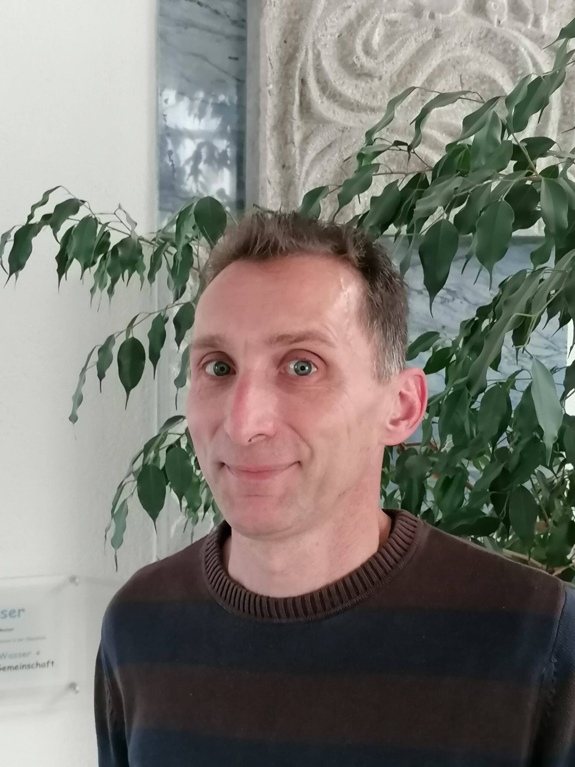 Ferner Spingler verkleinert